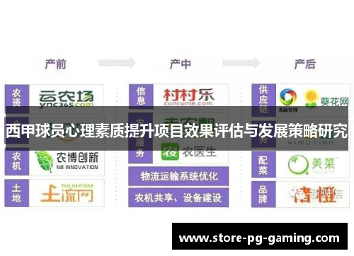 西甲球员心理素质提升项目效果评估与发展策略研究