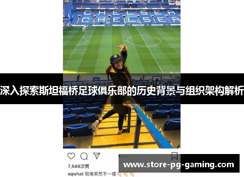 深入探索斯坦福桥足球俱乐部的历史背景与组织架构解析 深入探索斯坦福桥足球俱乐部的历史背景与组织架构解析